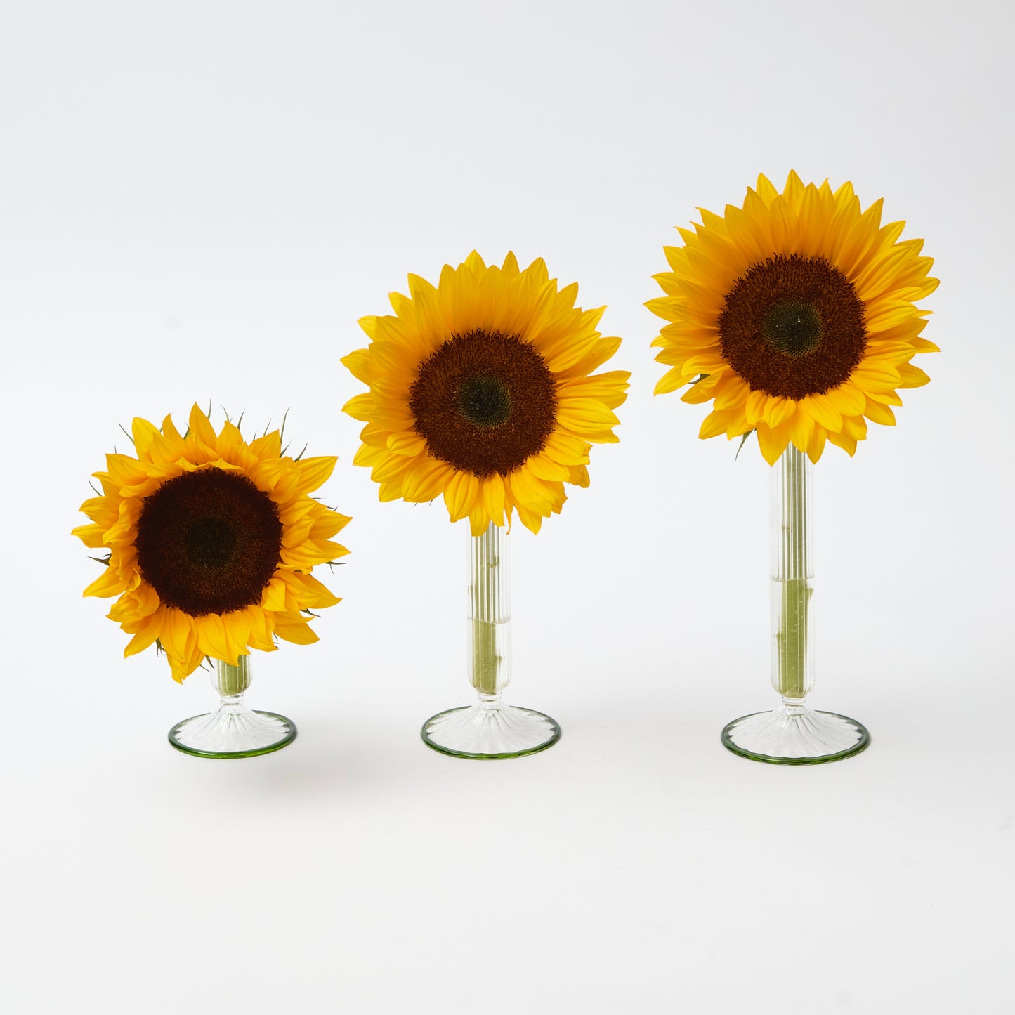 Green Fluted Single Stem Bud Vases (Set of 3)