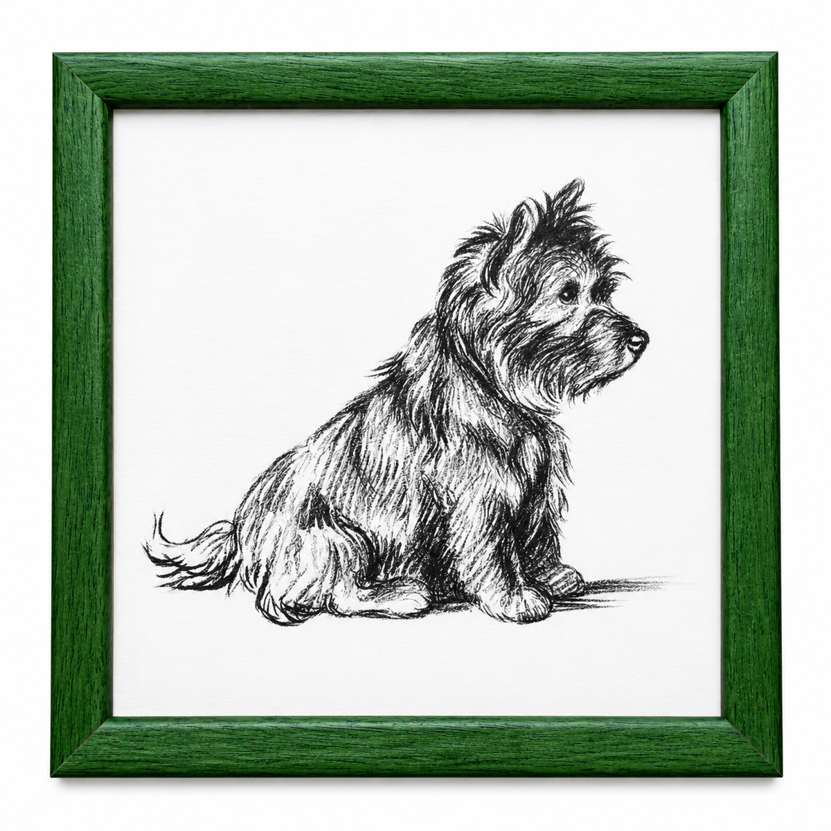 Lucy Dawson - Portrait of a Terrier