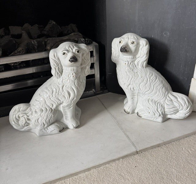 Pair of Vintage Fire Dogs