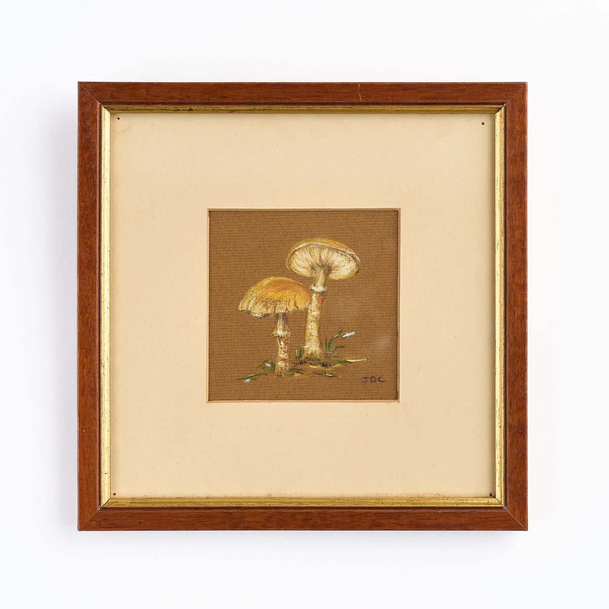 'Mushrooms I'