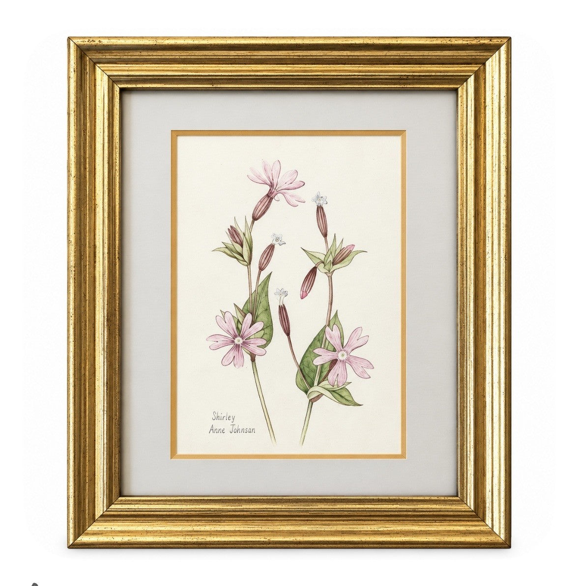 'Periwinkles' - Shirley Anne Johnson