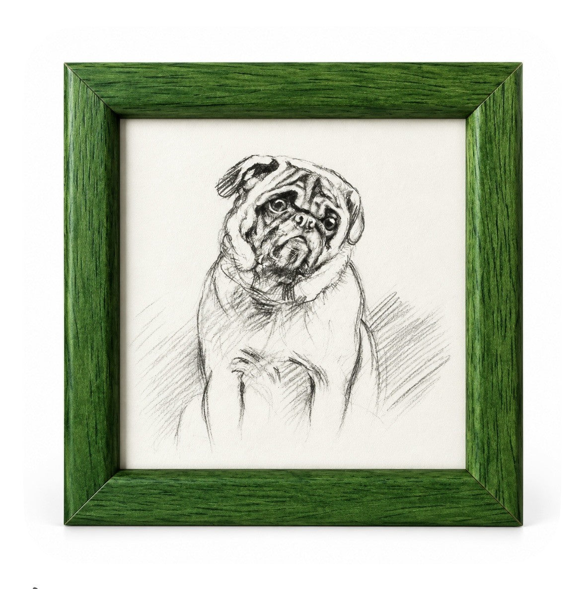 Lucy Dawson - Portrait of a Pug