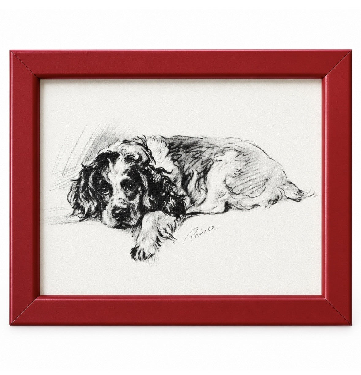 Lucy Dawson - 'Prince' - Portrait of a Spaniel