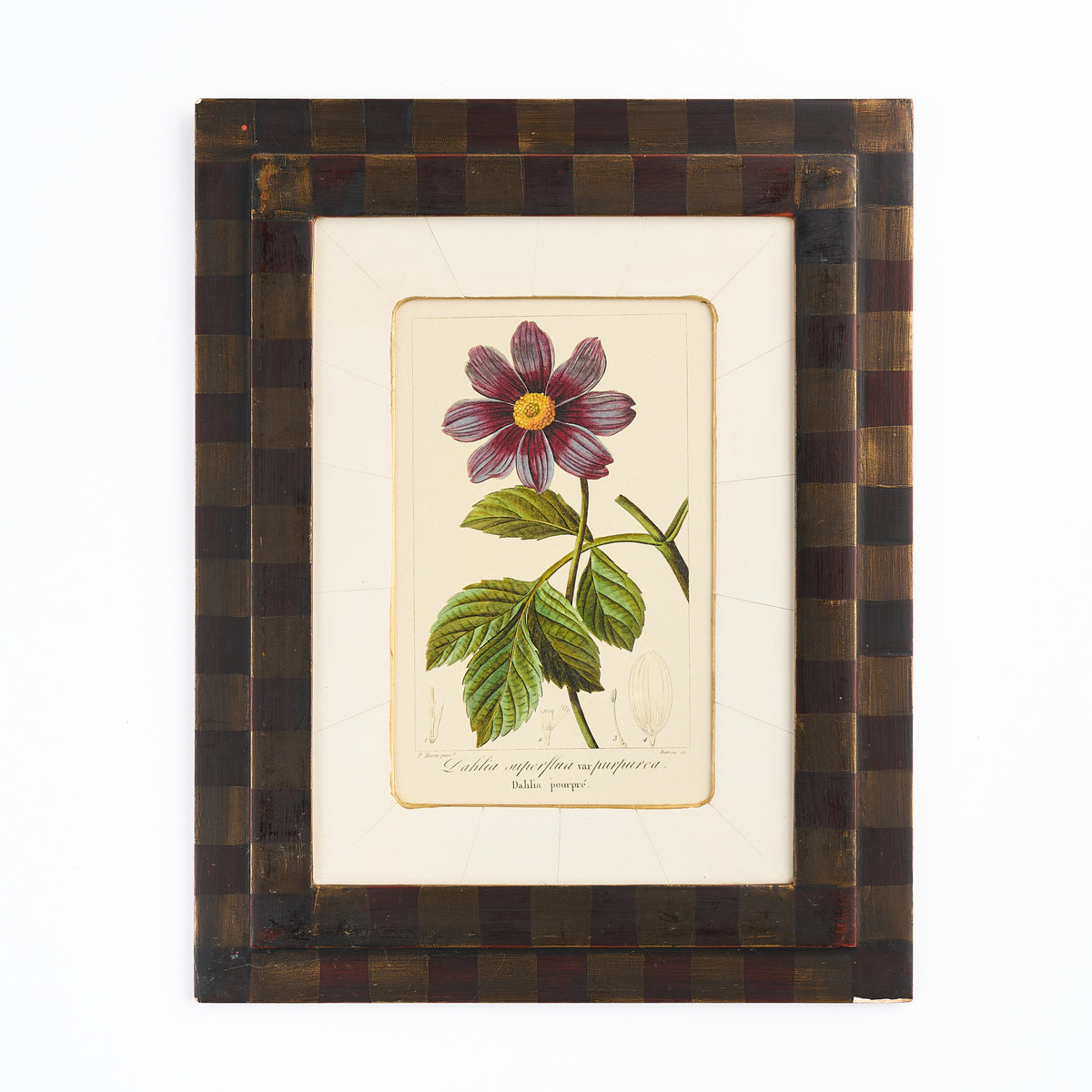 Botanical Print - 'Purple Flower'