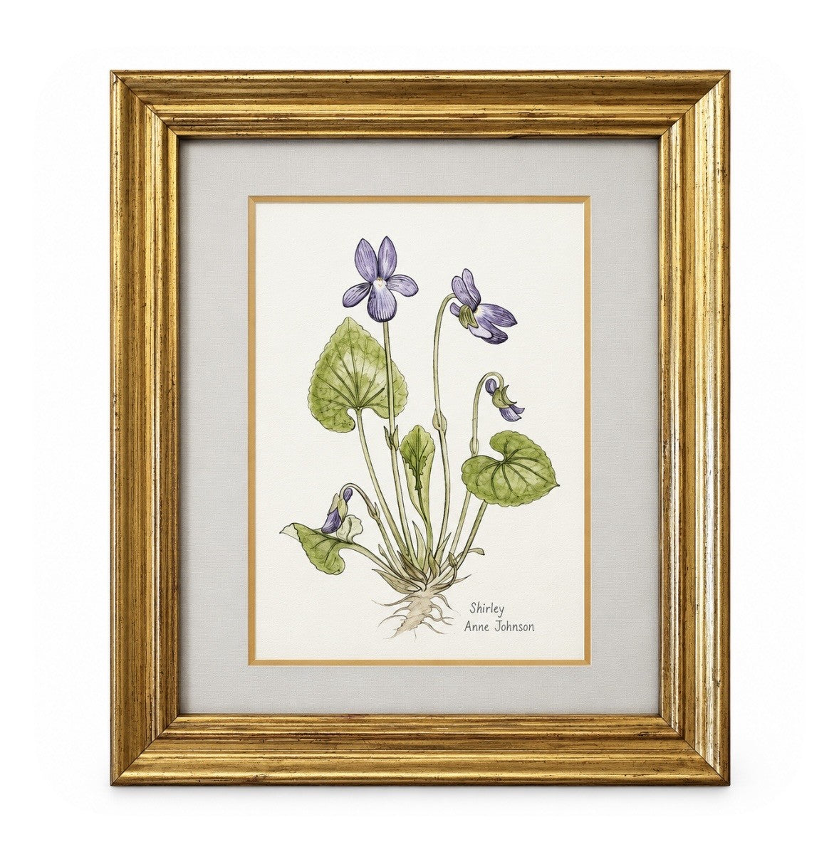 'Violets' - Shirley Anne Johnson