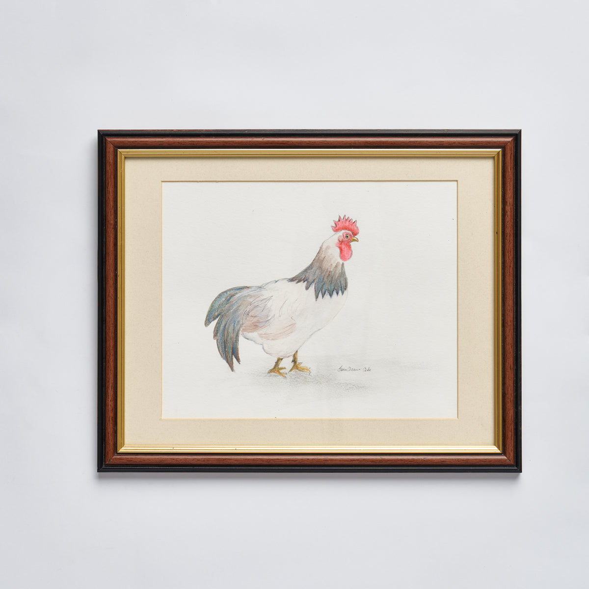 Pencil Drawn Chicken - Framed Original by J D Corke