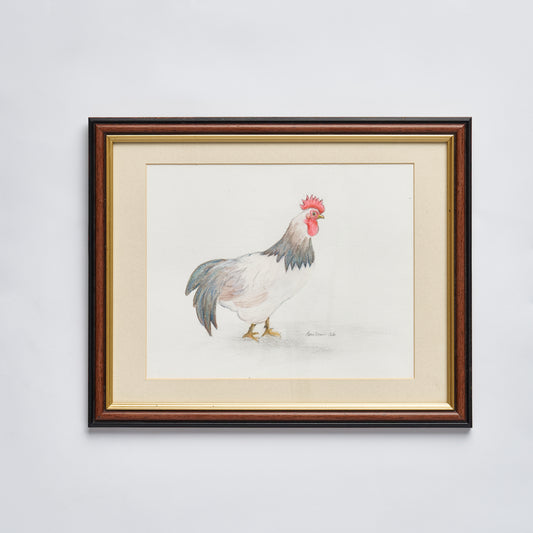 Pencil Drawn Chicken - Framed Original by J D Corke