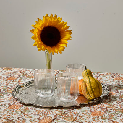 Clear Ribbed Water Glasses (set of 4)