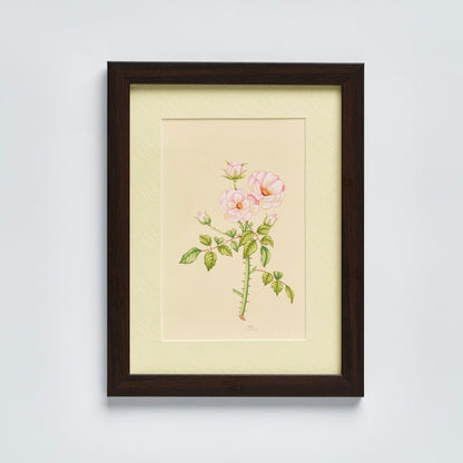English Garden Prints - Original Hand Painted Flowers (set of 4)