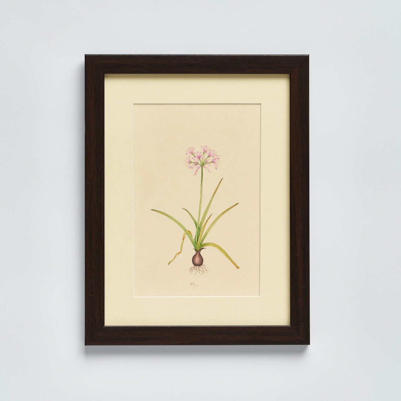 English Garden Prints - Original Hand Painted Flowers (set of 4)