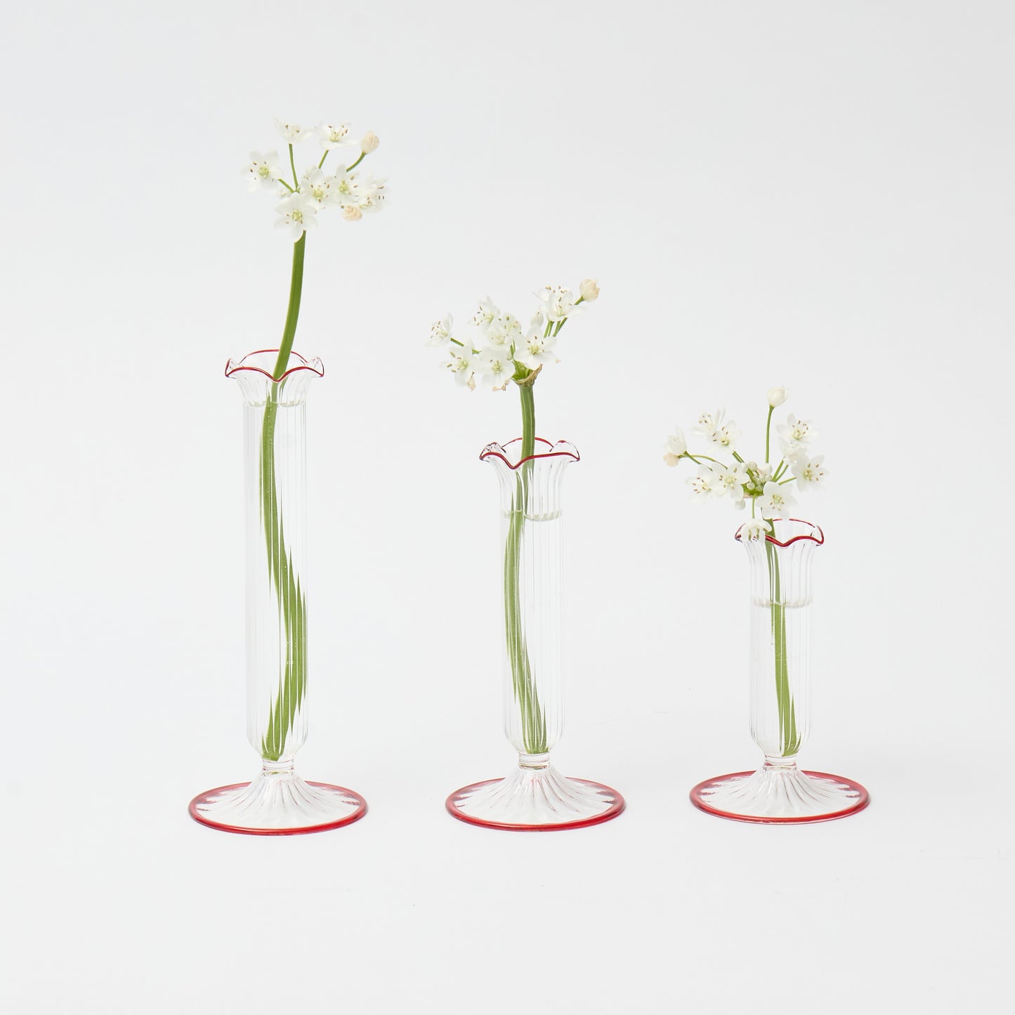 Fluted Red Edged Single Stem Bud Vases (Set of 3)