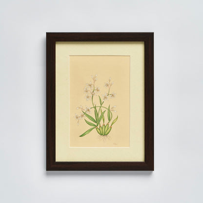 English Garden Prints - Original Hand Painted Flowers (set of 4)