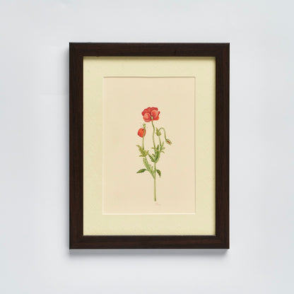 English Garden Prints - Original Hand Painted Flowers (set of 4)