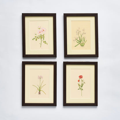 English Garden Prints - Original Hand Painted Flowers (set of 4)