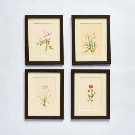 English Garden Prints - Original Hand Painted Flowers (set of 4)