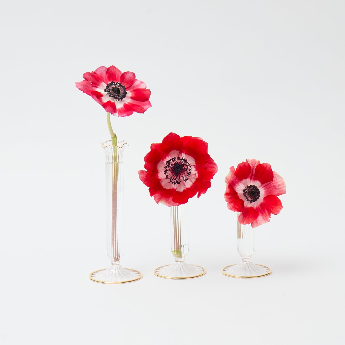 Fluted Gold Edged Single Stem Bud Vases (Set of 3)