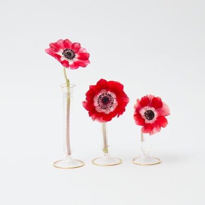 Fluted Gold Edged Single Stem Bud Vases (Set of 3)