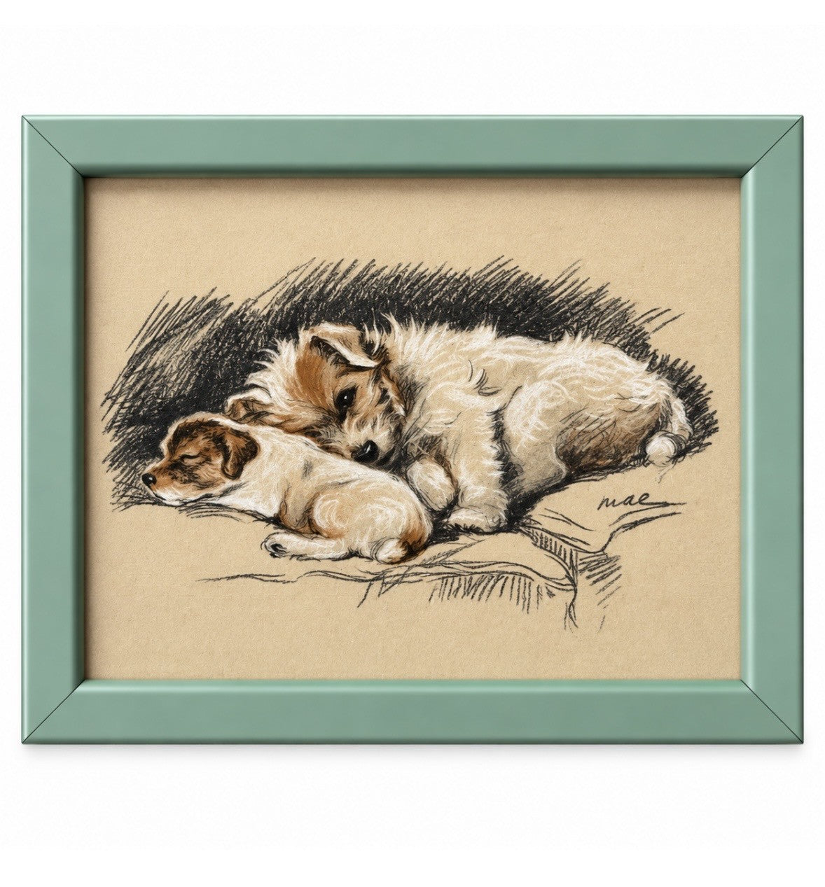 Lucy Dawson - 'Snuggles'