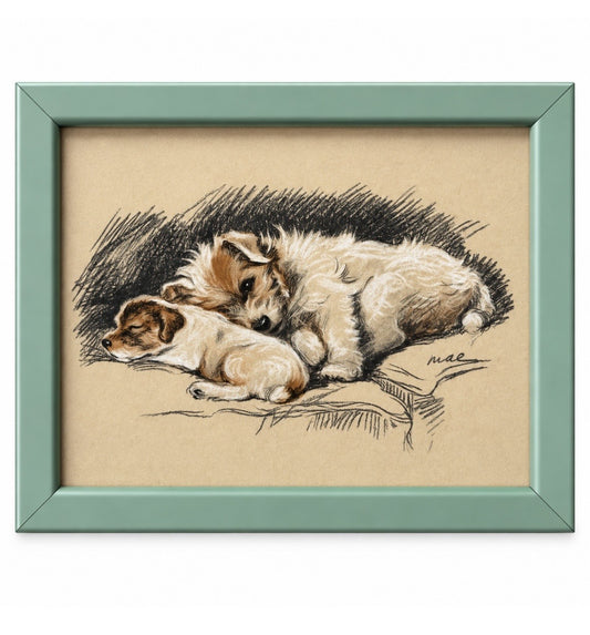 Lucy Dawson - 'Snuggles'