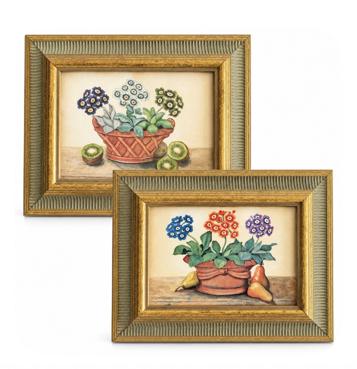 A pair of Auricula prints -  Alexandra Churchill