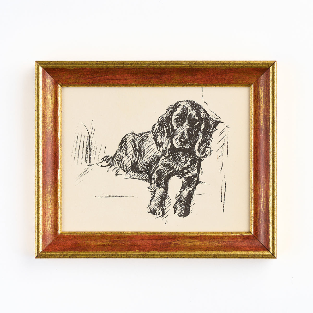 Lucy Dawson - Portrait of a black spaniel