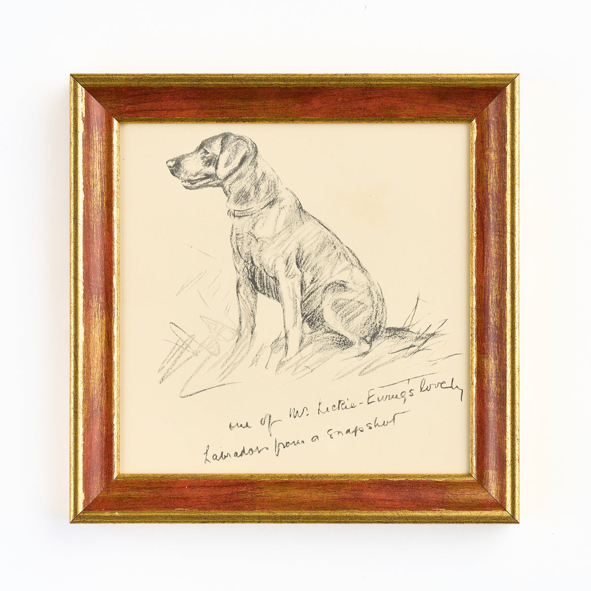 Lucy Dawson - Labrador print
