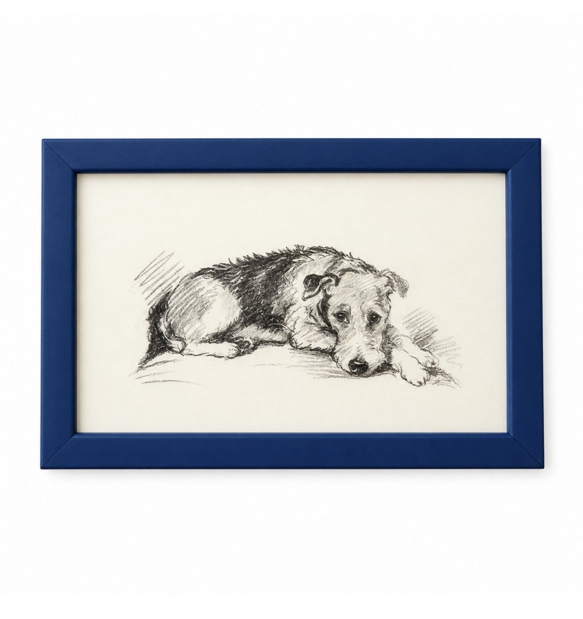 Lucy Dawson - Sleeping Terrier