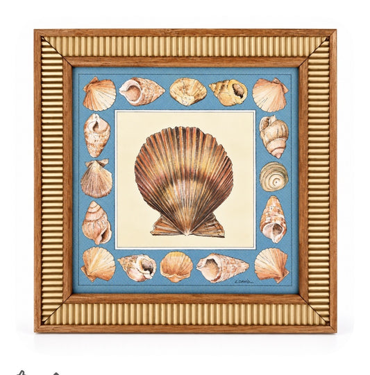 Decorative Shells I - L David
