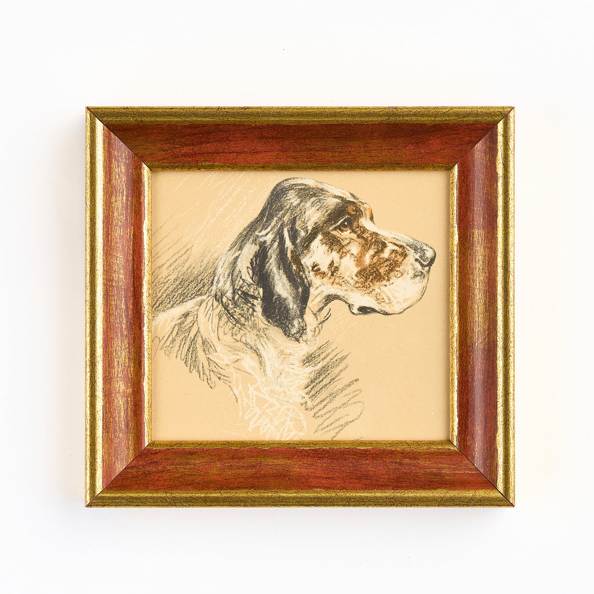 Lucy Dawson - Portrait of an English Setter