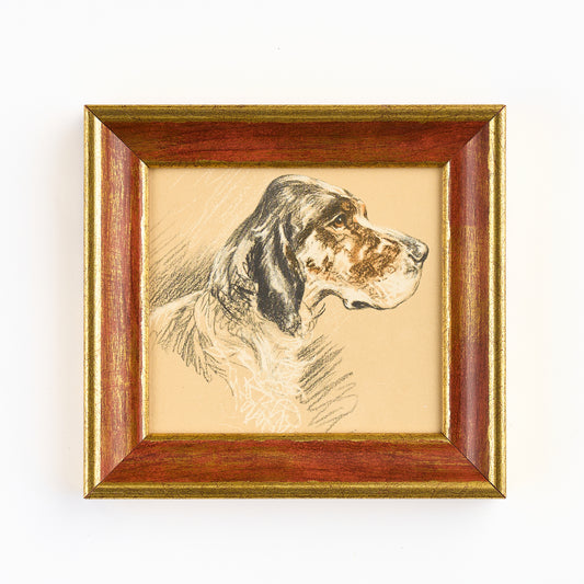 Lucy Dawson - Portrait of an English Setter