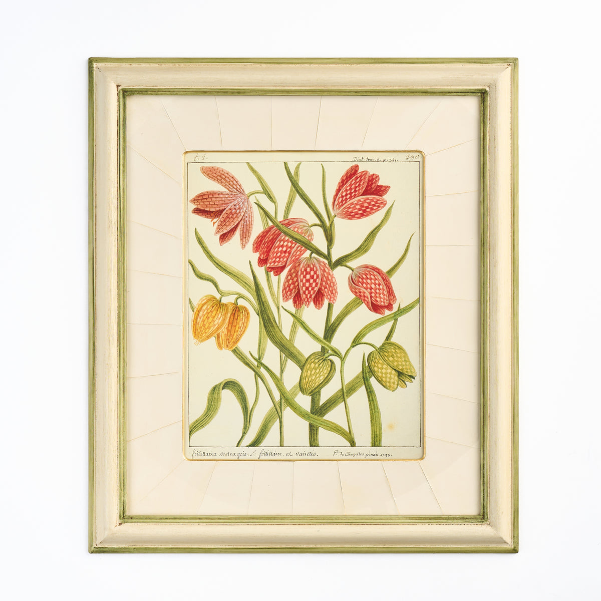 'Fritillaries' - A Decorative Botanical print III