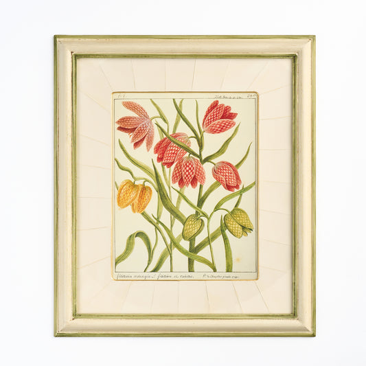 'Fritillaries' - A Decorative Botanical print III