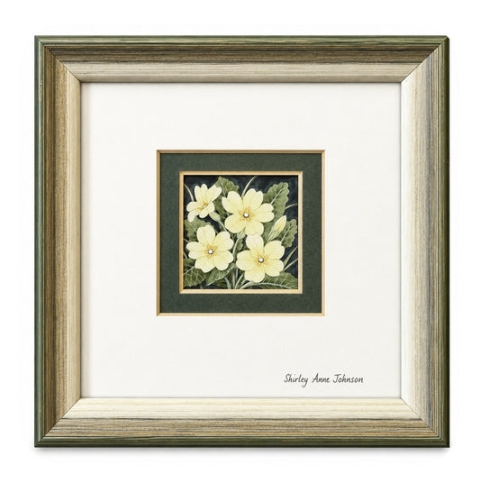 'Primroses' - Shirley Anne Johnson