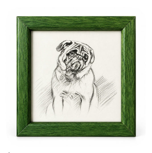 Lucy Dawson - Portrait of a Pug