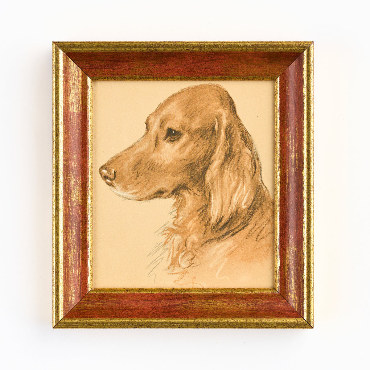 Lucy Dawson - Head Study of a Red Setter