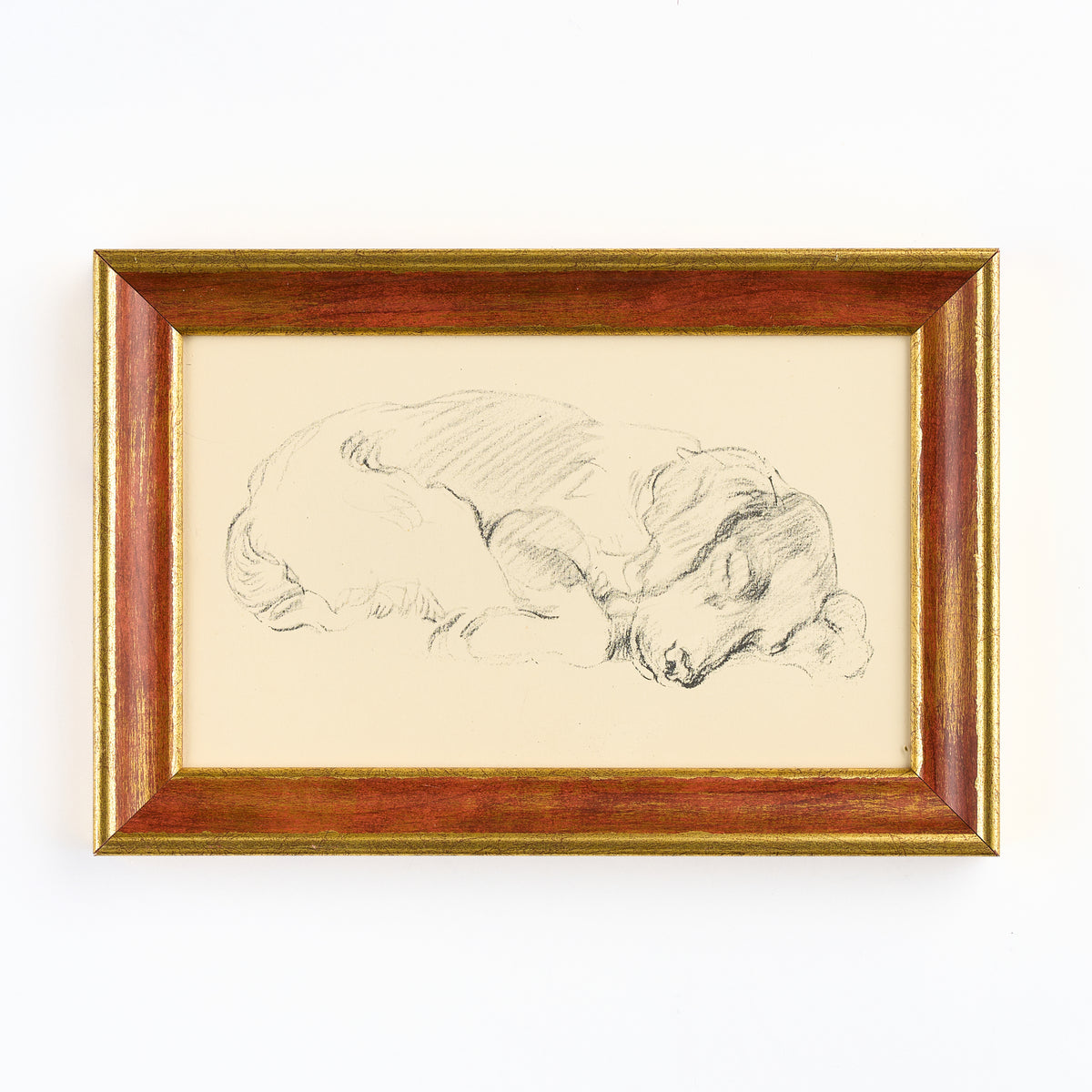 Lucy Dawson - Sleeping Spaniel