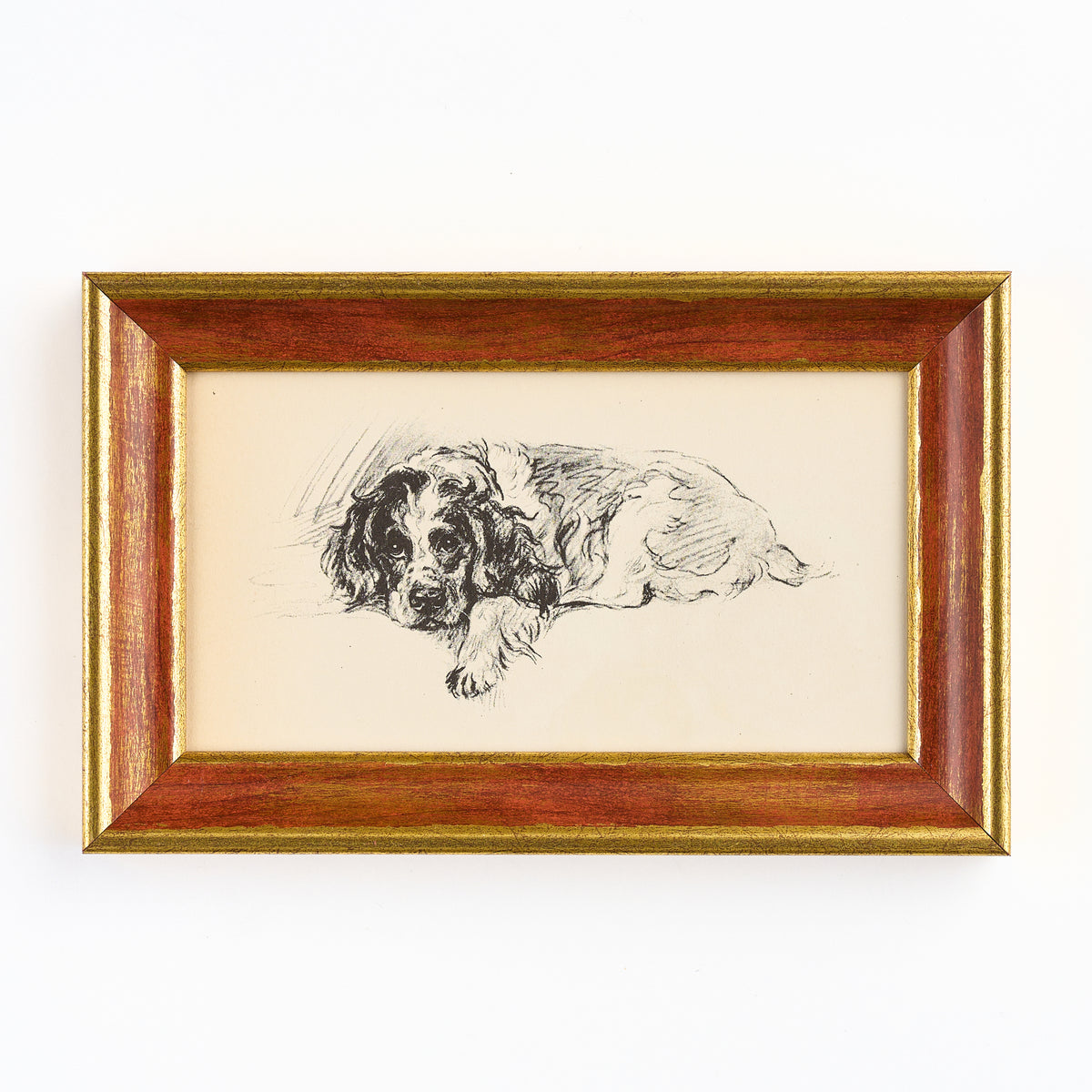 Lucy Dawson - Cocker Spaniel print
