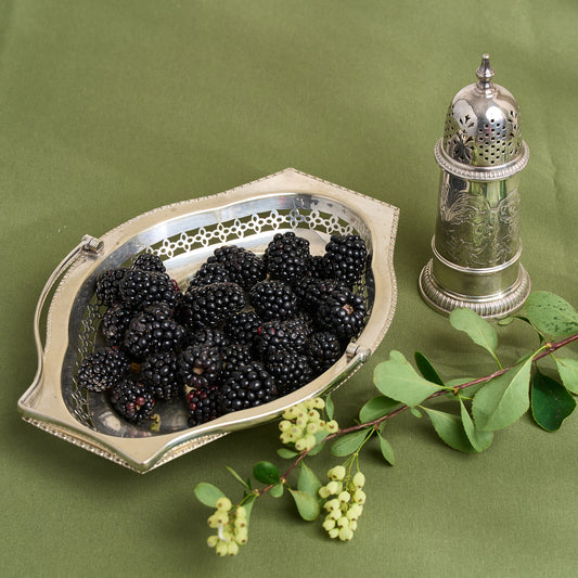 Silver Plated Sugar Sprinkler