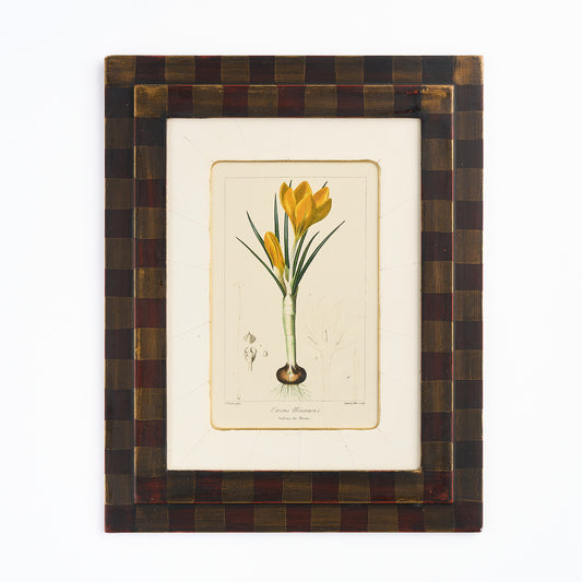 Botanical Print - 'Yellow Crocus'