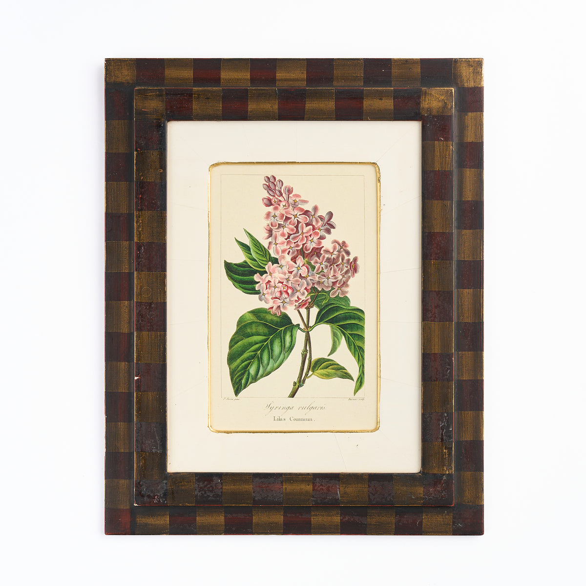 Botanical Print - 'Lilac'