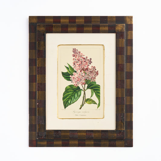 Botanical Print - 'Lilac'