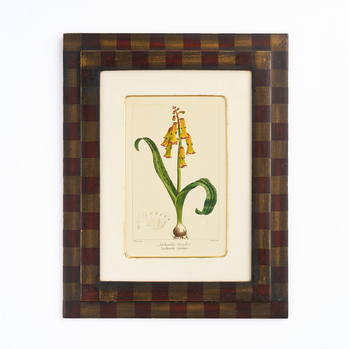 Botanical Print - 'Yellow Flower' III