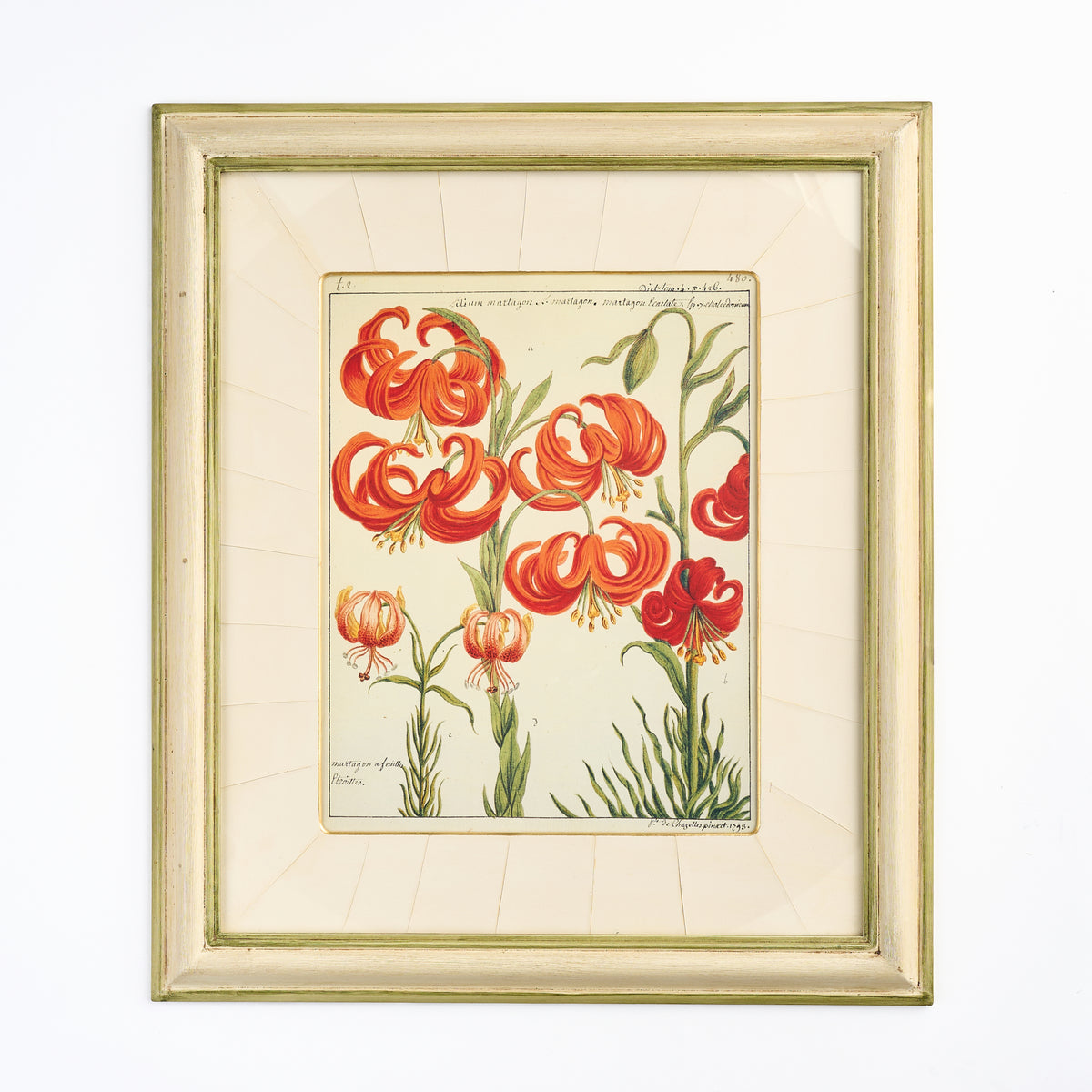 'Lilies' - A Decorative Botanical print IV